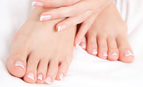 Bảo Hộ Lao Động Thiên Bằng ®