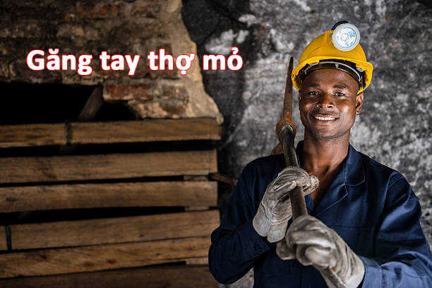 Bảo Hộ Lao Động Thiên Bằng ®