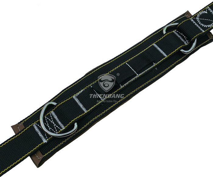A4 xanh moc nho 3 e1755575206761