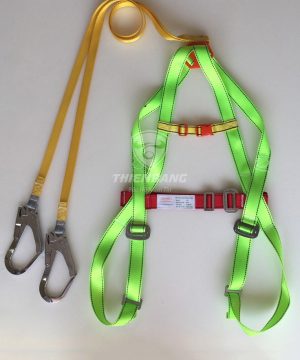 Dây an toàn toàn thân xanh 2 móc
