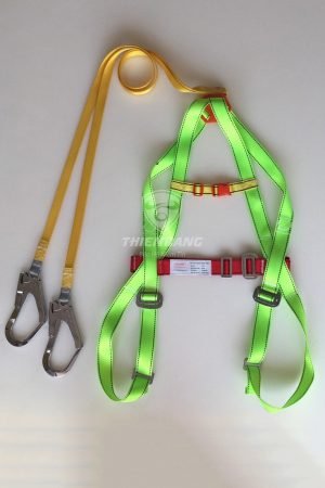 Dây an toàn toàn thân xanh 2 móc